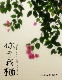 ������ʦ