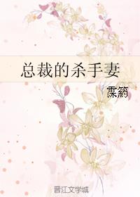 总裁的杀手妻