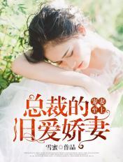 宠妻至上：总裁的旧爱娇妻