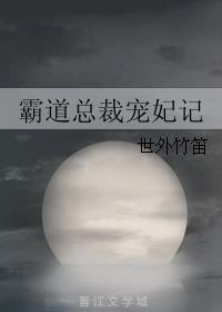 霸道总裁宠妃记