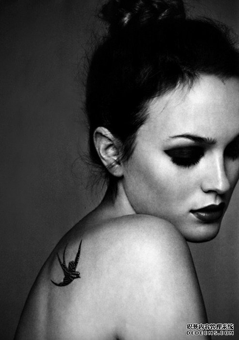 ������ĵ�������������