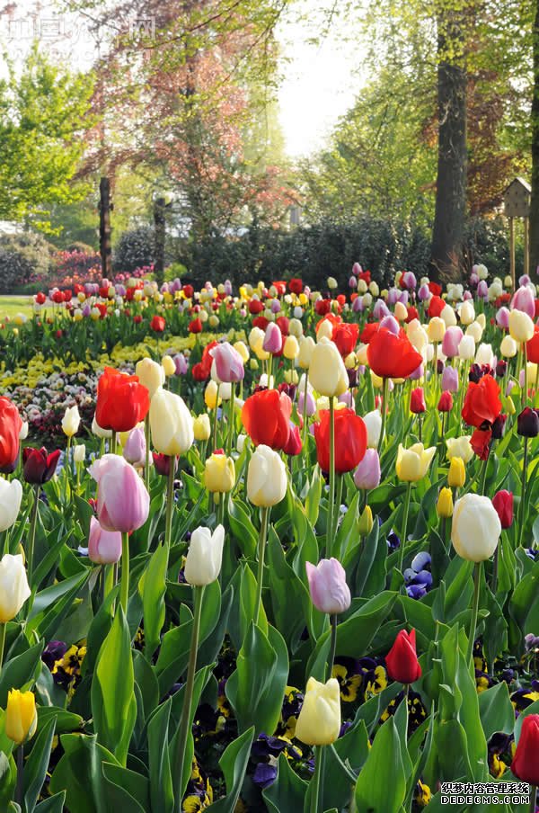 ��ӵ�д��졷