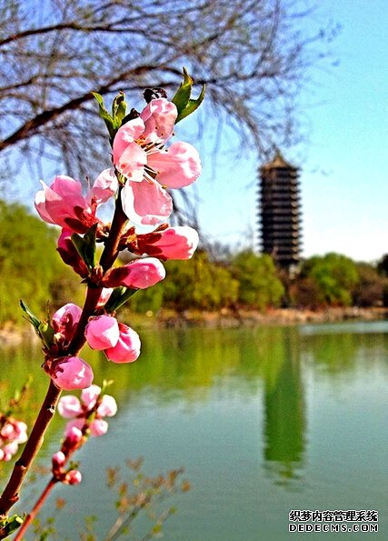 ����԰�ķۺ���䡷