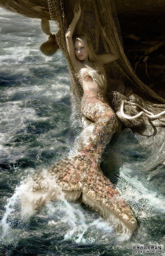 �������㡿