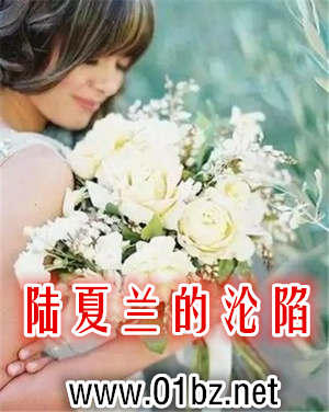 ½����������