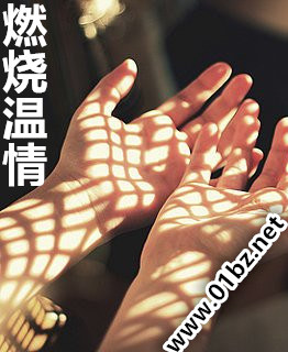 ȼ������