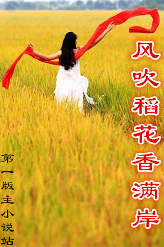 �紵����������