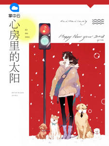 总裁在上