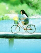 �ഺ�껪�Ĺ���