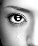 ���ɳ���֮��