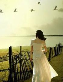 ������Ŀ���