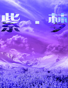 ��в�ȵ�����