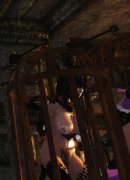 �ۺ�ׯ԰������