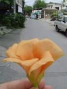 ������ɫʮ��̸