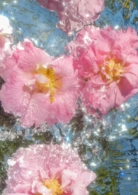 �潭��ܽ��