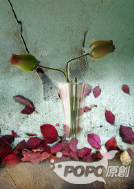 ����Ů�ʷ���¼