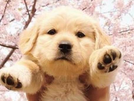 ����С����ϵ��