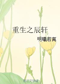 重生之辰轩