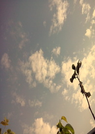 《誌我们的异色青春》